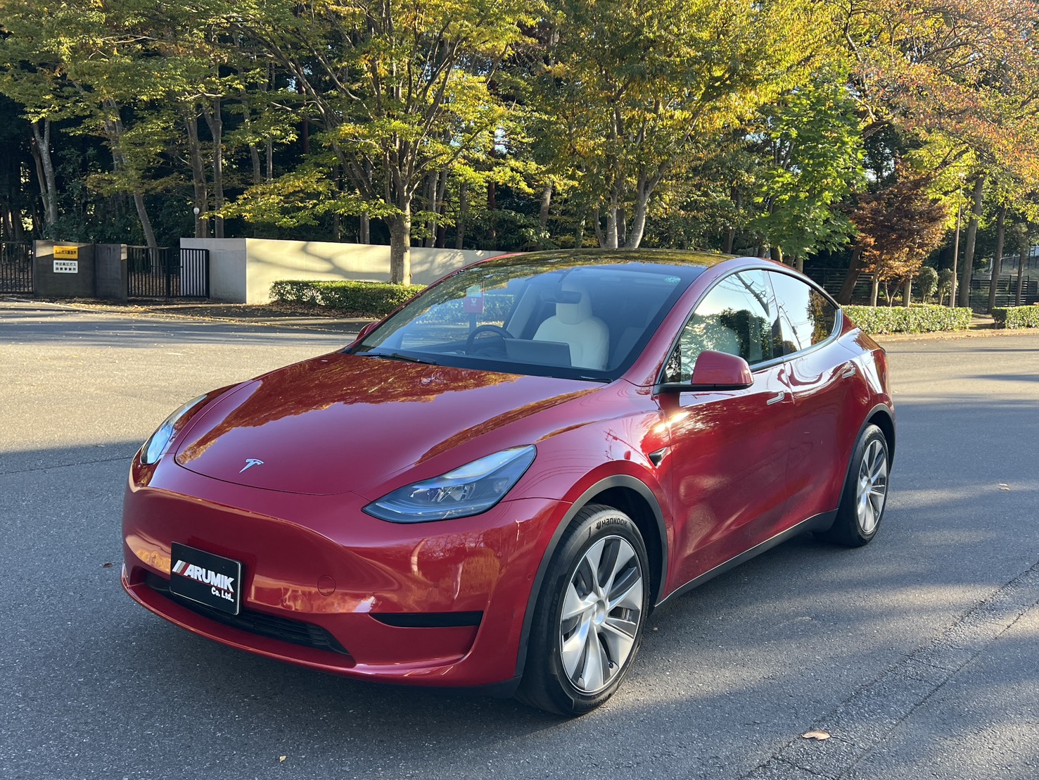 TESLA Model Y RWD